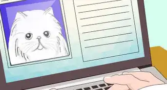 Make a Cat First Aid Kit