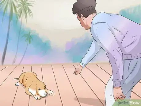 Image titled Train a Dog to Respond to Voice Commands Step 3