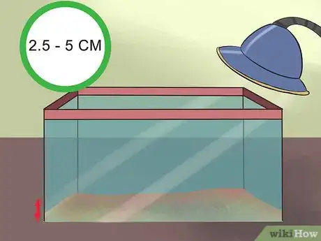 Image titled Care for Uromastyx Lizards Step 3