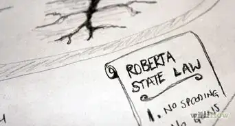 Create an Imaginary US State