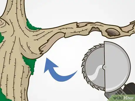 Image titled Trim Trees Step 3