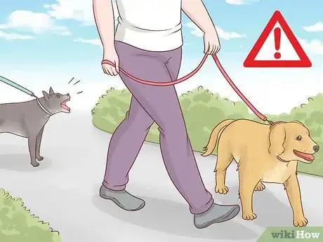 Image titled Become a Dog Walker Step 9