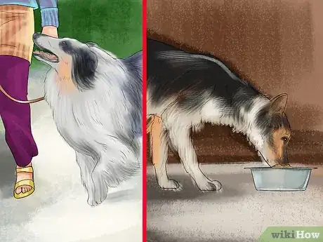 Image titled Choose Food for your Border Collie Step 3