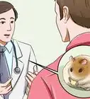 Make Hamster Health Food