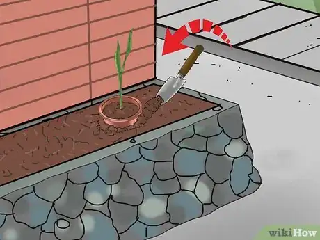 Image titled Grow Snake Grass Step 8