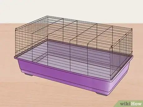 Image titled Keep Multiple Chinchillas Step 14