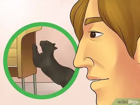 Image titled Catify Your Room Step 12