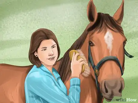 Image titled Care for Your Horse In the Winter Step 23