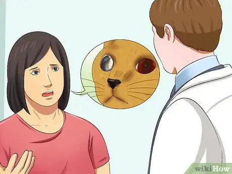 Image titled Diagnose Feline Retinal Disease Step 8
