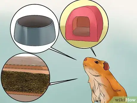 Image titled Introduce a New Guinea Pig to a Community Cage Step 8