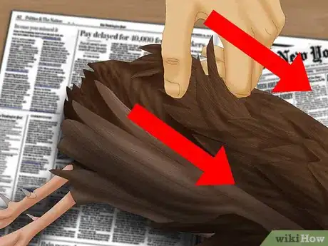 Image titled Pluck a Pheasant Step 6