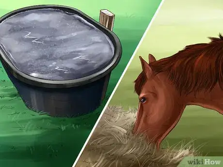 Image titled Exercise Horses in Cold Weather Step 9