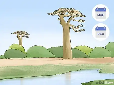 Image titled Travel to Madagascar Step 6