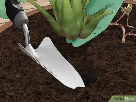 Image titled Create a Dish Garden Step 9