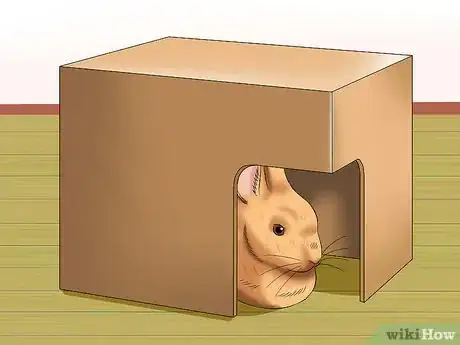 Image titled Care for Sussex Rabbits Step 4