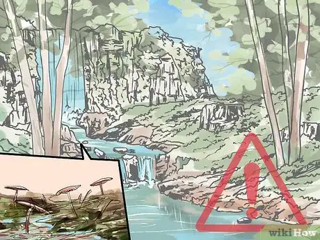 Image titled Prevent Aspergillosis Step 2