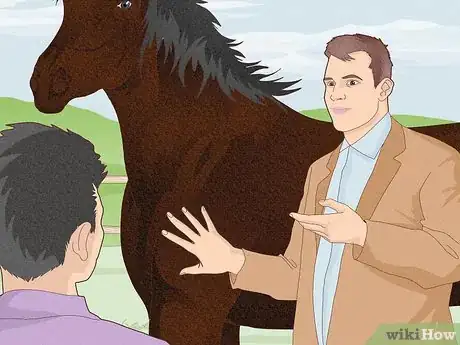 Image titled Look After a Horse Step 16