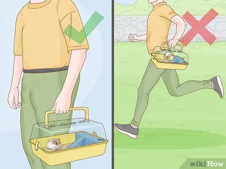 Image titled Carry a Hamster Step 12