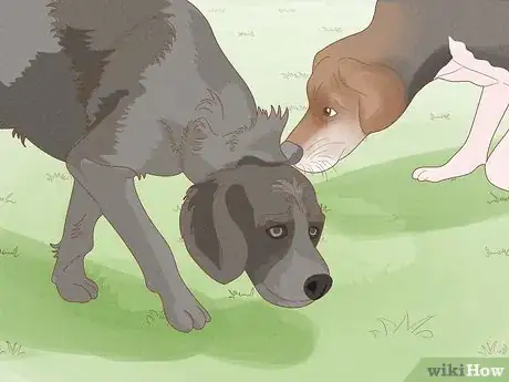 Image titled Prevent Dog Fights Step 25
