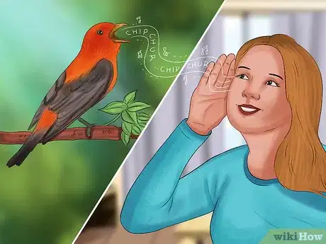 Image titled Identify a Scarlet Tanager Step 7