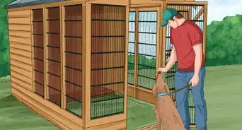 Clean a Boarding Kennel