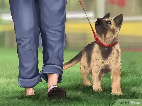 Image titled Set Ground Rules for Your Dog Step 2