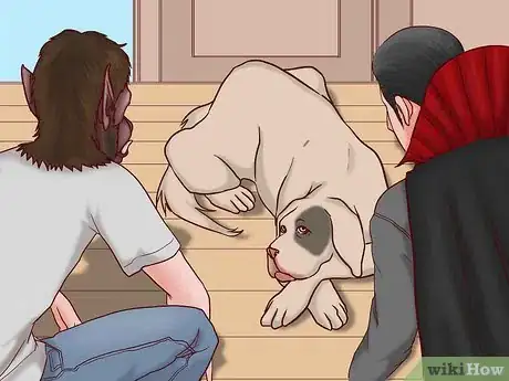 Image titled Keep Your Dog Safe on Halloween Step 12