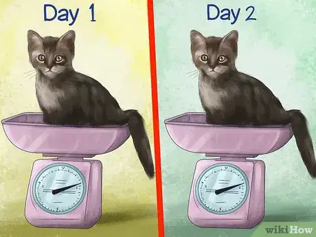 Image titled Spot Feline Diabetes Step 5