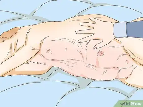 Image titled Tell if a Dog Is Pregnant Step 5