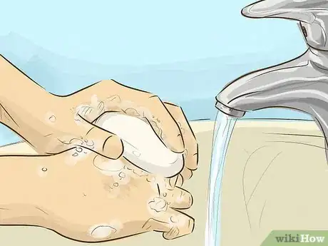 Image titled Prevent a Rabies Infection Step 7