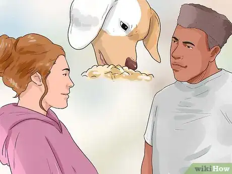 Image titled Show Your Dog Where He Is in the Pack Step 8