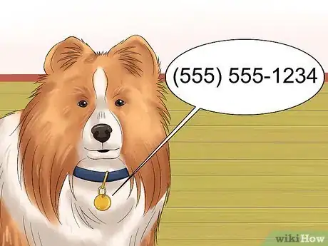 Image titled Care for Shelties Step 1