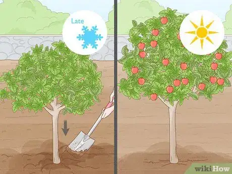 Image titled Grow a Summer Garden Step 4