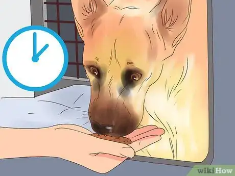 Image titled Travel with Dogs Step 8