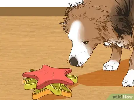 Image titled Manage Cognitive Dysfunction in Senior Dogs Step 9