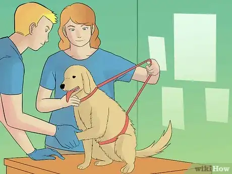 Image titled Wrap a Dog Paw Step 4