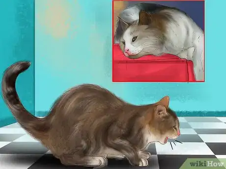 Image titled Treat Heartworm Disease in Cats Step 1