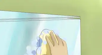 Care for a Green Frog