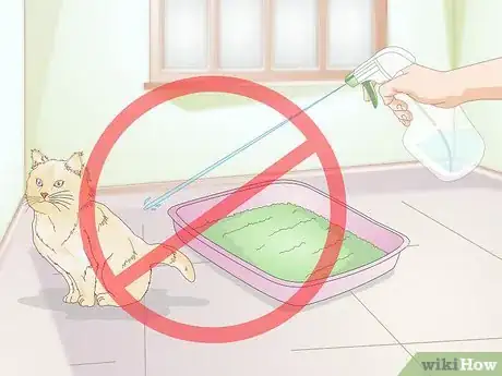 Image titled Use a Spray Bottle on a Cat for Training Step 5