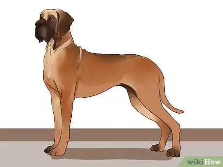Image titled Choose a Laid‐Back Dog Step 11