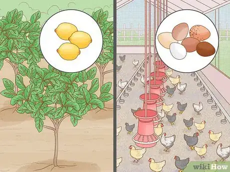 Image titled Start a Permaculture Farm Step 19