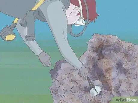 Image titled Help Prevent Coral Bleaching Step 11