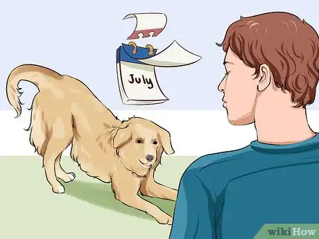 Image titled Care for a Recently Rehomed Dog Step 17