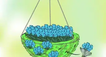 Make a Moss Hanging Basket