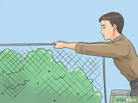 Image titled Protect Your Cherry Trees from Birds Step 7