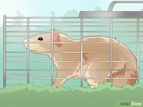 Image titled Catch a Rodent in Your House Step 12