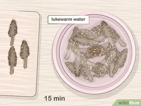 Image titled Saute Morel Mushrooms Step 1