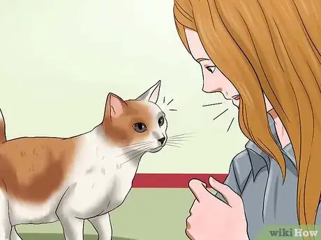 Image titled Keep a Cat Calm During Fireworks Step 7