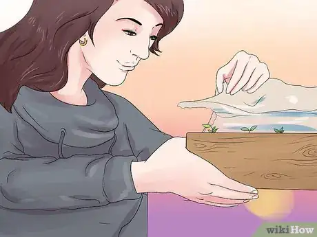 Image titled Grow Petunias Step 9