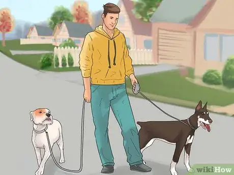 Image titled Walk Two Dogs at the Same Time on Leashes Step 11